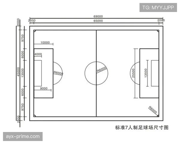 草坪场地规则拆解：标准尺寸与质量如何影响比赛判罚？