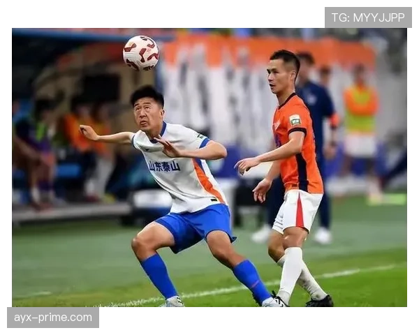 山东泰山防守体系经验丰富，近期表现仍显不稳定，稳定性面临考验