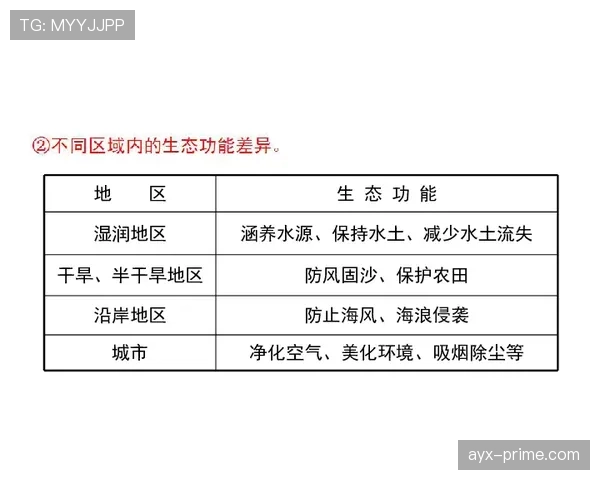 帕尔默突破能力表现一般 技术短板成因深度分析